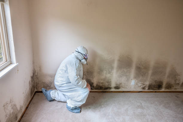 Best Crawl Space Mold Removal  in Dellwood, MO