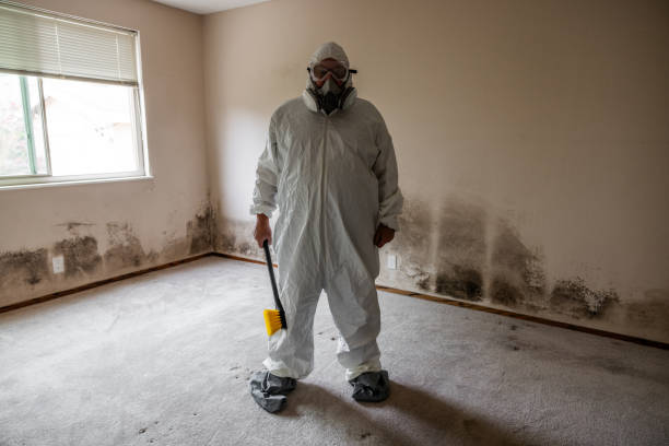 Best Local Mold Removal Service  in Dellwood, MO